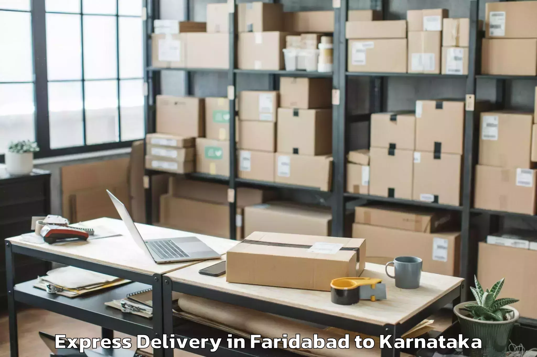 Top Faridabad to Koppa Express Delivery Available